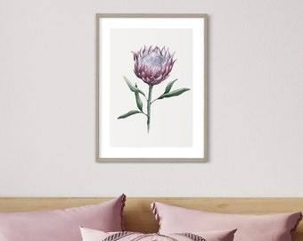 Printable Protea Flower Botanical Poster