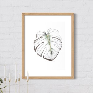 Druckbares Monstera Botanisches Poster, fertig zum Drucken für die Galeriewand