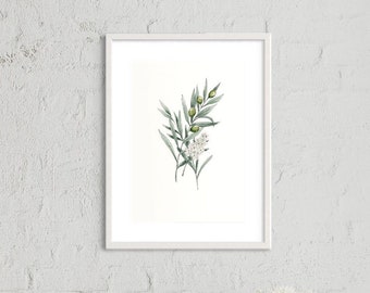 Watercolor Olive Branch Printable Poster, Minimalist Botanical Wall Art