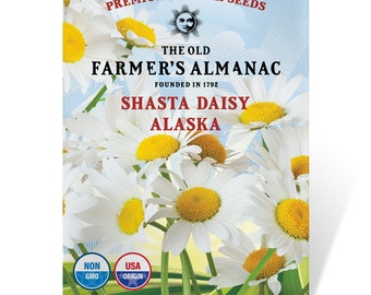 Shasta Alaska Daisy Seeds: The Old Farmer's Almanac, Open Pollinated, Non-GMO, 1 Gram, Approx 700 Seeds