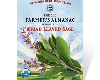 Broad Leaved Sage Seeds: The Old Farmer's Almanac, Heirloom, Open Pollinated, Non-GMO, 1 Gram, Approx 70 Seeds