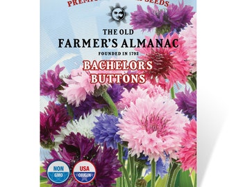 Bachelors Button Seeds: The Old Farmer's Almanac, Open Pollinated, Non-GMO, 3 Grams, Approx 500 Seeds