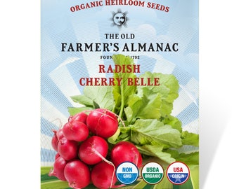 Organic Cherry Belle Radish Seeds: The Old Farmer's Almanac, Heirloom, Open Pollinated, Non-GMO, 6 Grams, Approx 400 Seeds
