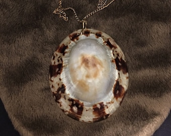 Op de afbeelding: Een gouden ketting met een grote, ovale schelp hanger. De schelp is bruin en wit met een gevlekt patroon.