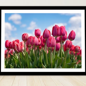 Holland Michigan Tulip Farm Photography Floral fine Art