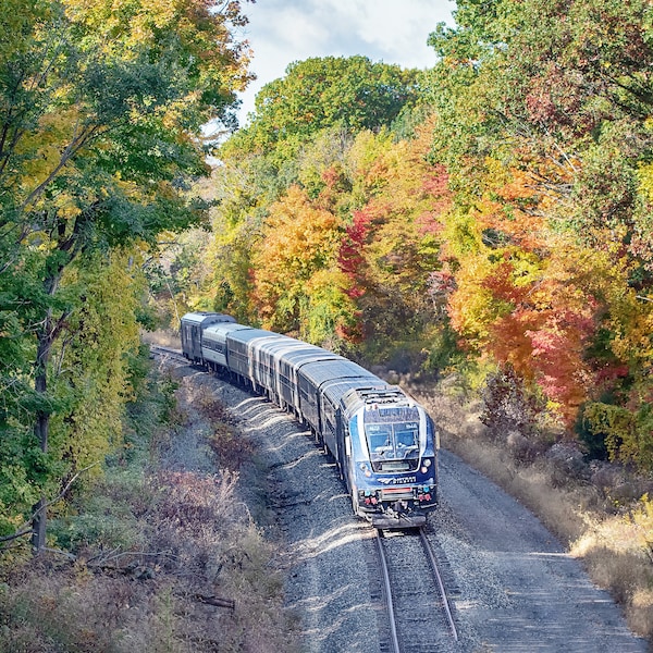 New Buffalo Michigan Amtrak Train Fall Photogaphy Fall Train Prints