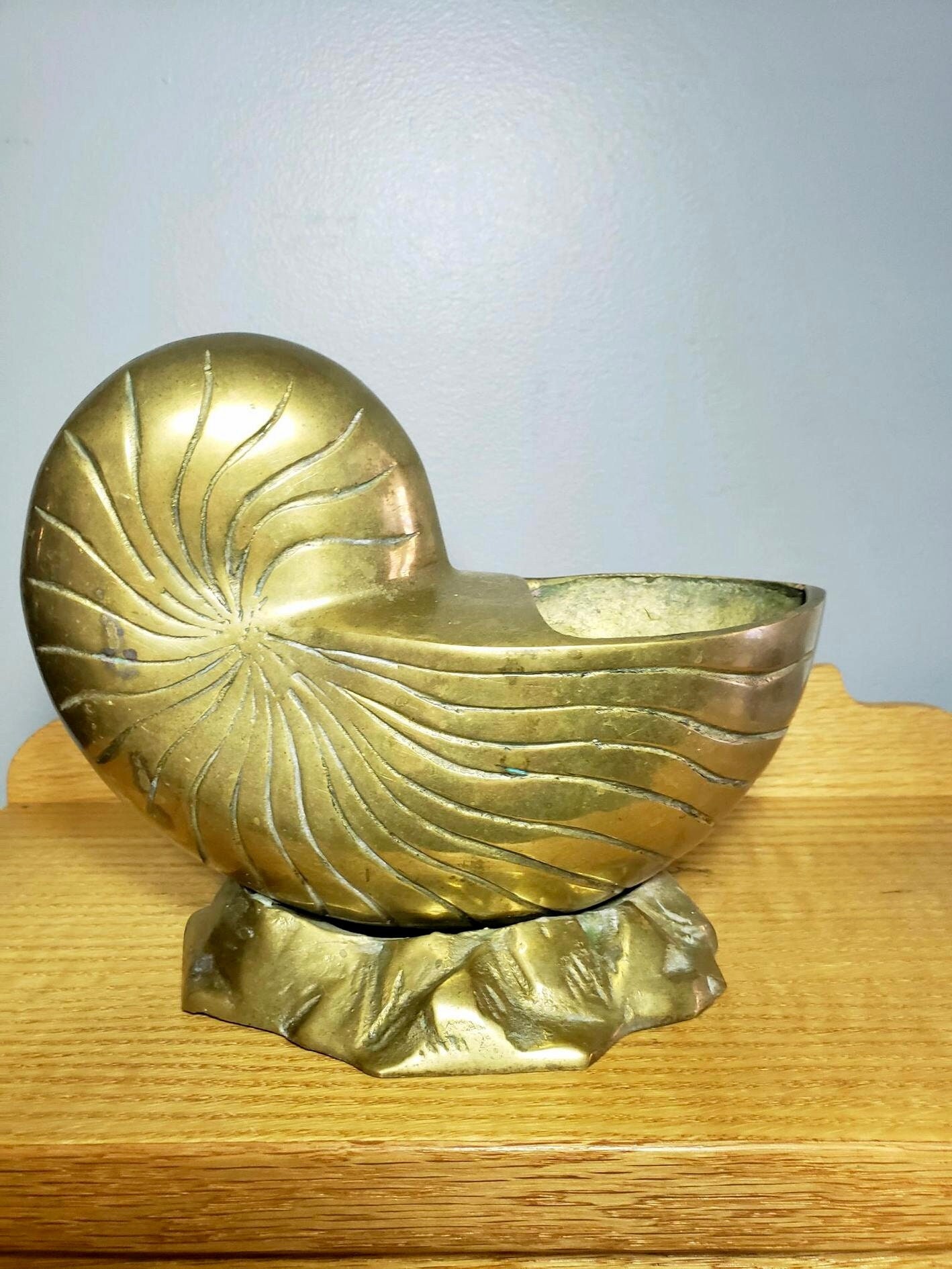 Vintage Modernist Brass Nautilus Sea Shell Sculpture Vase or Planter Made  in Korea -  Canada