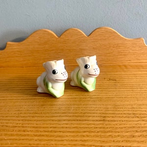 Vintage Frog Salt and Pepper Shakers