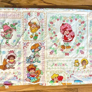1980&#39;s Strawberry Shortcake and Friends Bedspread