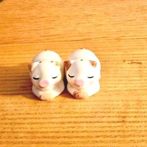 Pig Salt and Pepper Shakers Japan