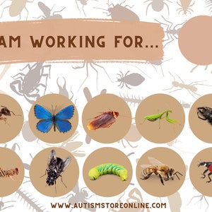 Token board, Token system, Reinforcement, Insects Token Board, Token Economy, Special Education, Autism, Potty training, PRINTABLE FILE ONLY
