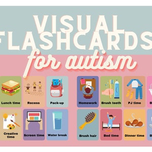 Visual Flashcards for Autism, Matching Activity, Speech Exercise, SPED, Special Education, Autism, PRINTABLE ONLY