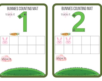 Counting Activity, Math with Manipulatives, Easy Math, Math Center, SPED, Special Education, Printable Only
