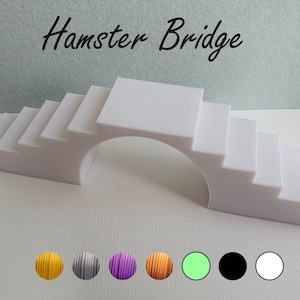 May include: White plastic hamster bridge with a curved arch and steps. The bridge is on a white surface with a light blue background. The text "Hamster Bridge" is written in black above the bridge. The image also shows a row of colored strings below the bridge.