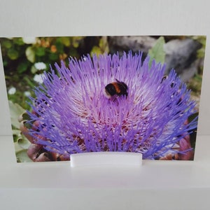 Simple photo stands / Wedding place name card holders - Size 6cm x 1cm - 3D Printed PLA