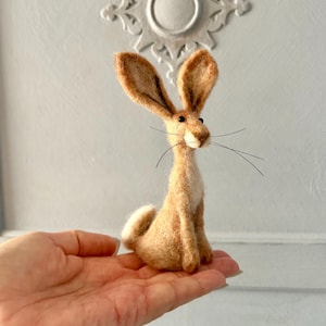 Harley Hare