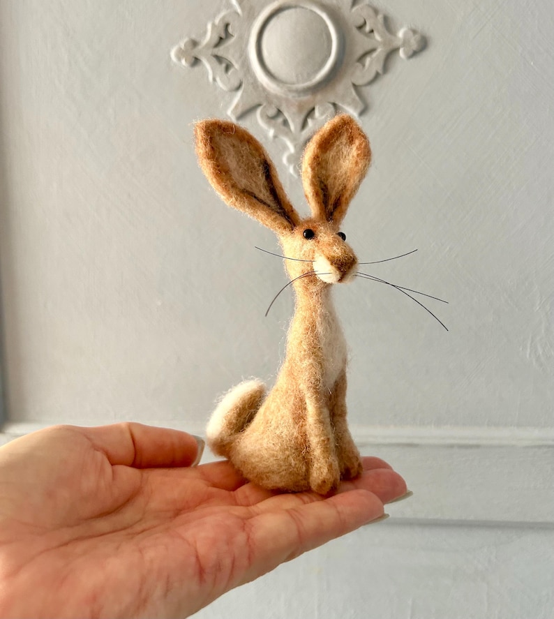 Harley Hare