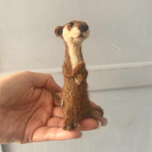 Otis Otter