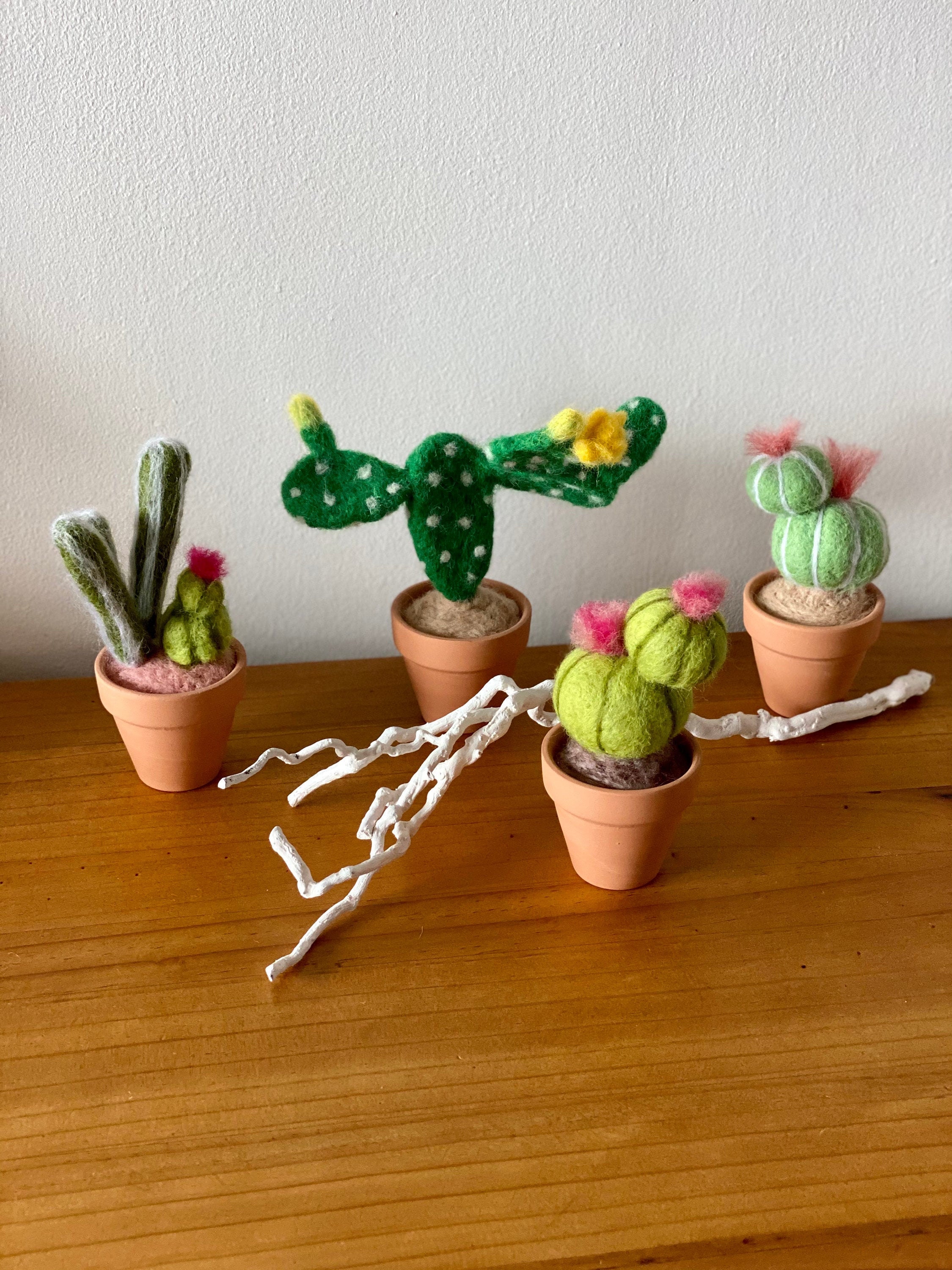 Needle felted cactus/Cactus ornament/Fake cactus/Felt cactus/ Etsy
