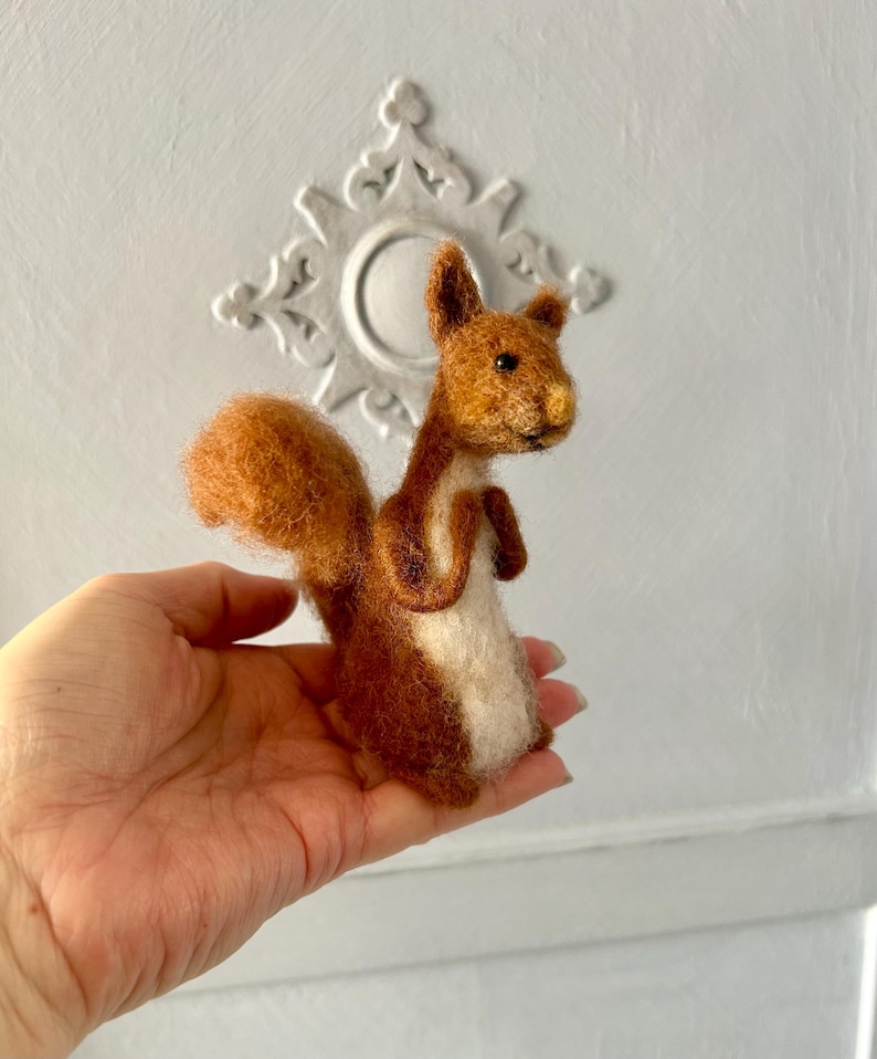 Sadie Squirrel