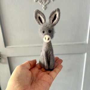 Darcy Donkey