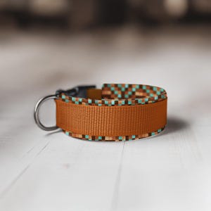 May include: A brown dog collar with a turquoise and brown geometric pattern. The collar has a silver D-ring and a black buckle.