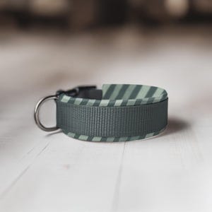 Peut inclure: Un collier de chien rayé vert foncé et vert clair avec une boucle noire et un anneau en D argenté.