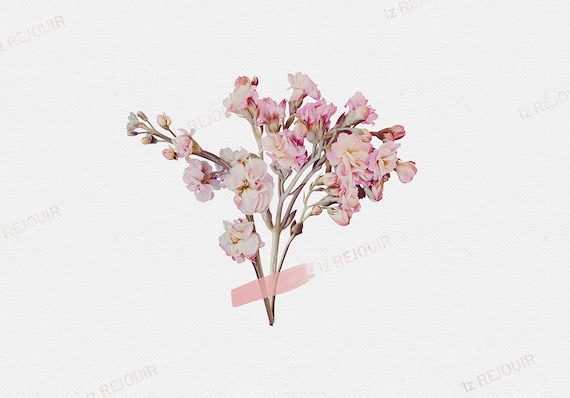Real Floral iPad Wallpaper Pastel Pink Bouquet iPad Background iPad Pro 3 Size Aesthetic iPad Wallpaper Floral Background Digital File Etsy UK