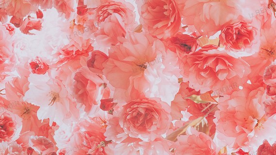 Floral aesthetic wallpaper deals