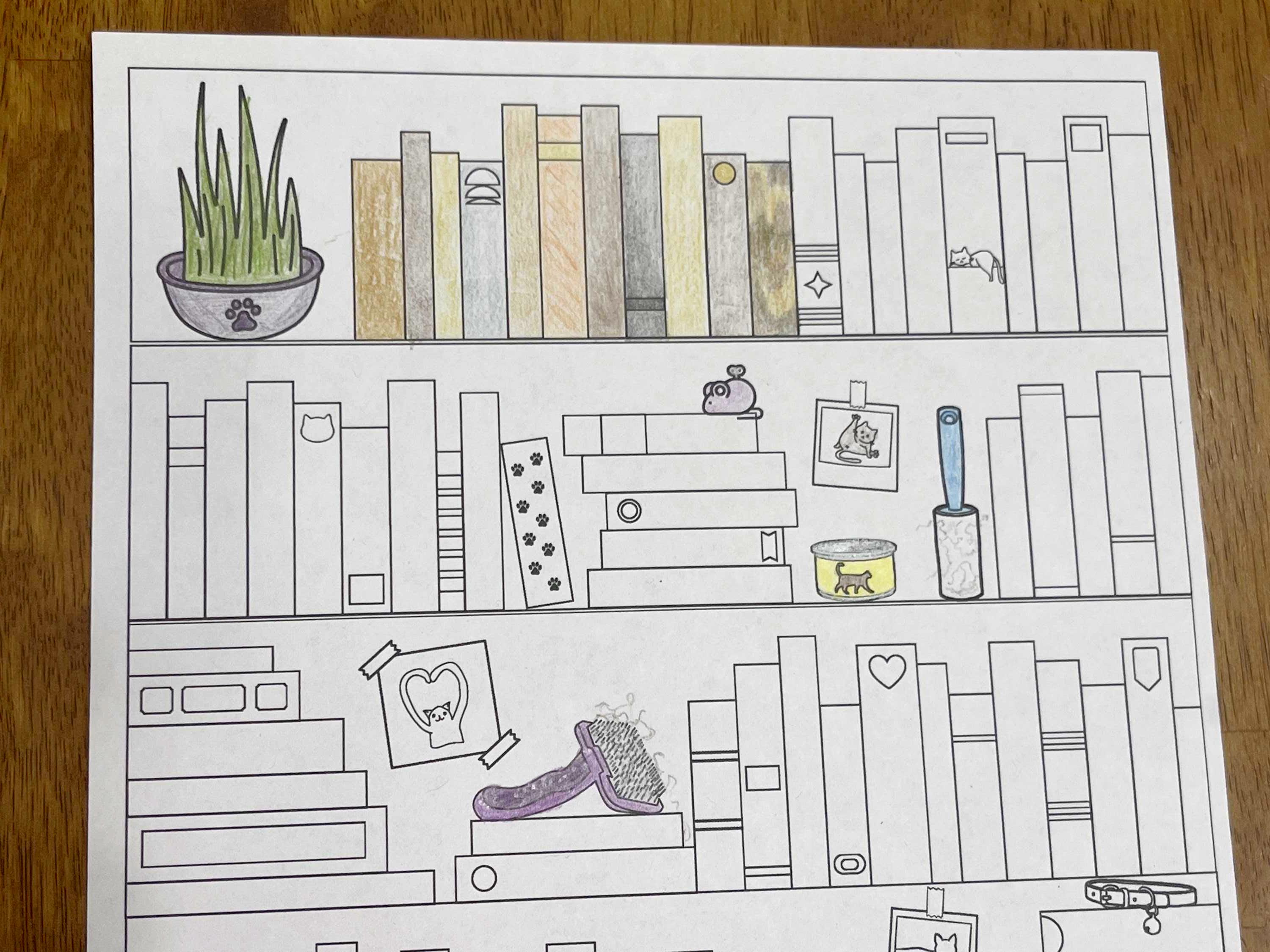 100-book Reading Tracker Bookshelf – Cat Theme Coloring Log (PDF) - Etsy
