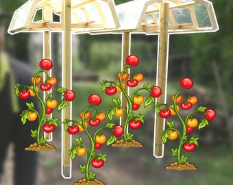 DIY tomato shelter - blueprint to build yourself!