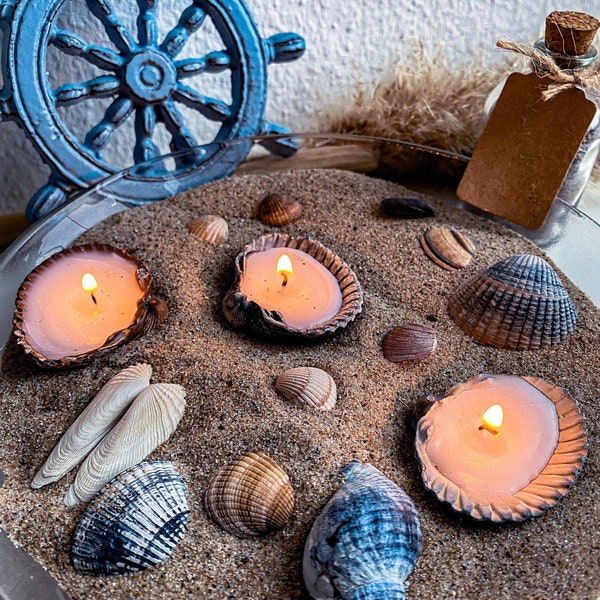 Teelicht in Muschelschalen maritime Dekoration Nordsee