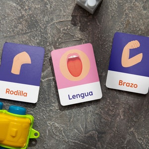 Tarjetas Partes del cuerpo, 20 cartes éducatives imprimables sur les parties du corps en espagnol permettant aux enfants d'enrichir leur vocabulaire avec le téléchargement instantané.