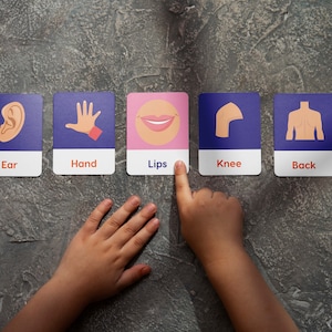 Tarjetas didácticas sobre las partes del cuerpo, 20 tarjetas educativas imprimibles para niños en edad preescolar y niños pequeños en "inglés" con descarga instantánea, aprendizaje en el hogar