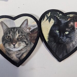 May include: Two heart-shaped patches featuring cat portraits. One patch shows a tabby cat, the other a black cat with green eyes. Both patches have a black border and are set against a white background.