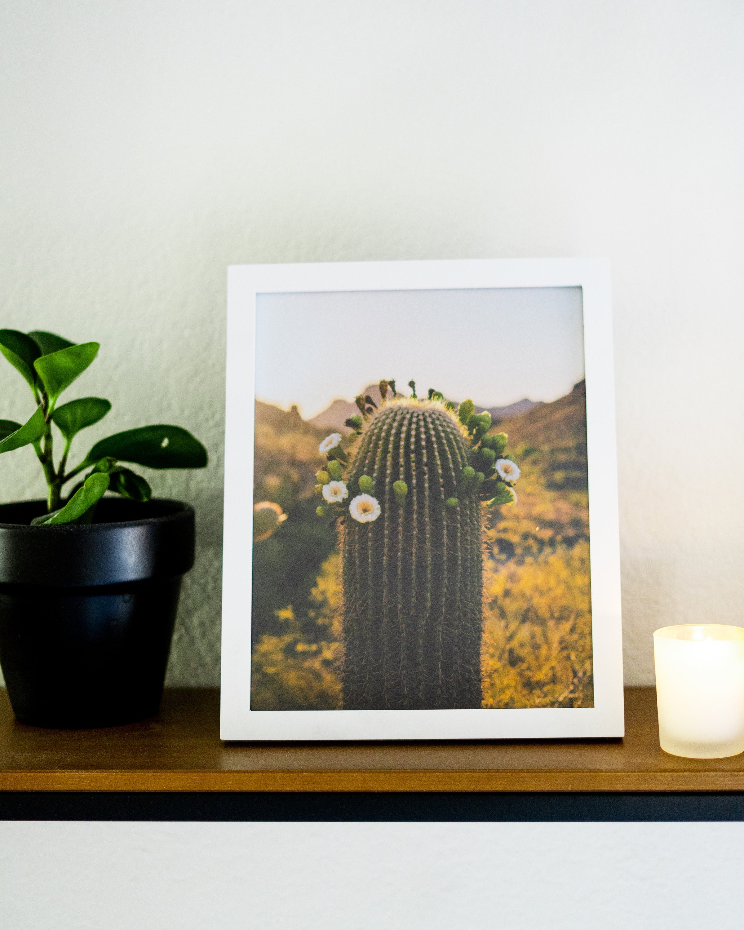Saguaro Cactus Wall Art/ Saguaro Cactus Print/ Cactus Flower Print