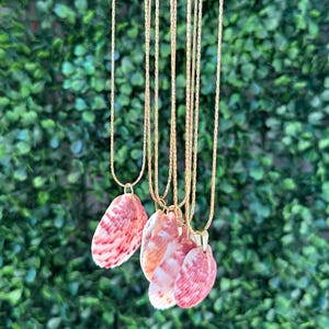 16 Inch Gold Plated Shell Necklace