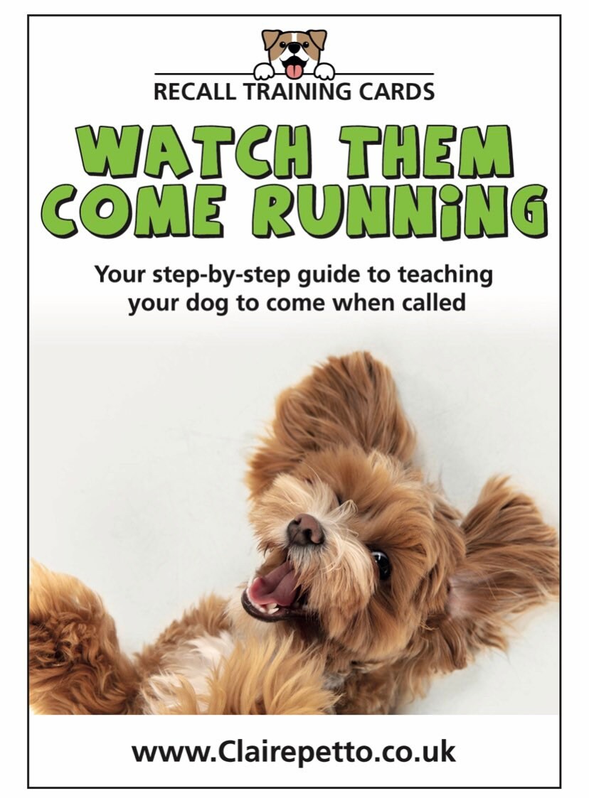 Recall Training Book for Dogs & Puppies Teach Your Dog to Etsy