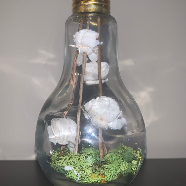 Light Bulb Terrarium Etsy