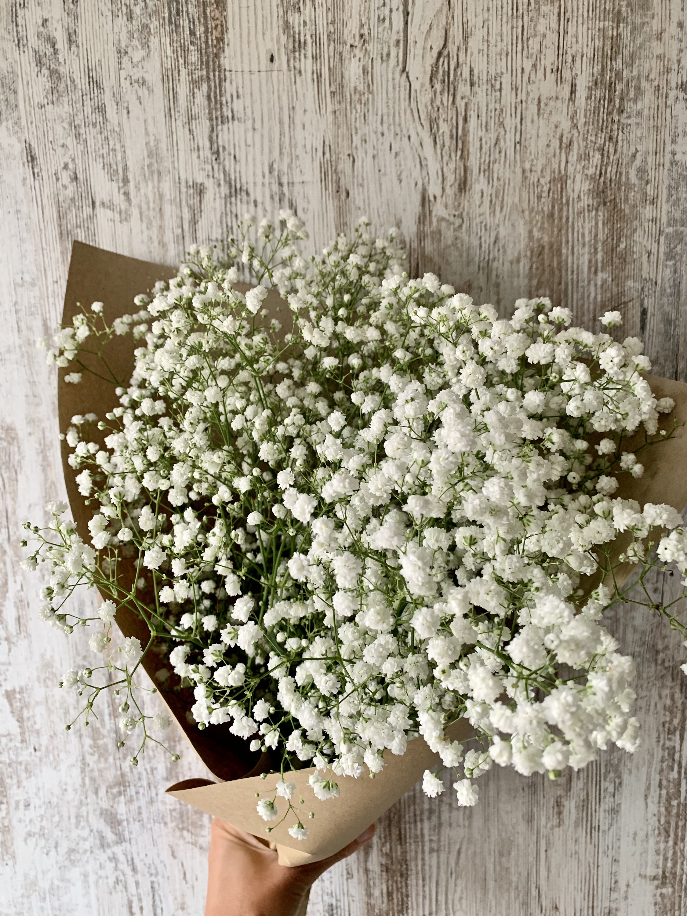 Next Day Fresh Gypsophila Babys Breath Large Bunch Bouquet Etsy