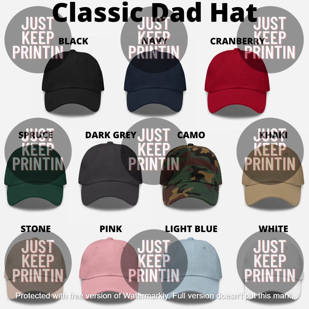 Reduce Reuse Recycle Hat, Recycle Embroidered Hat, Multiple Colors ...