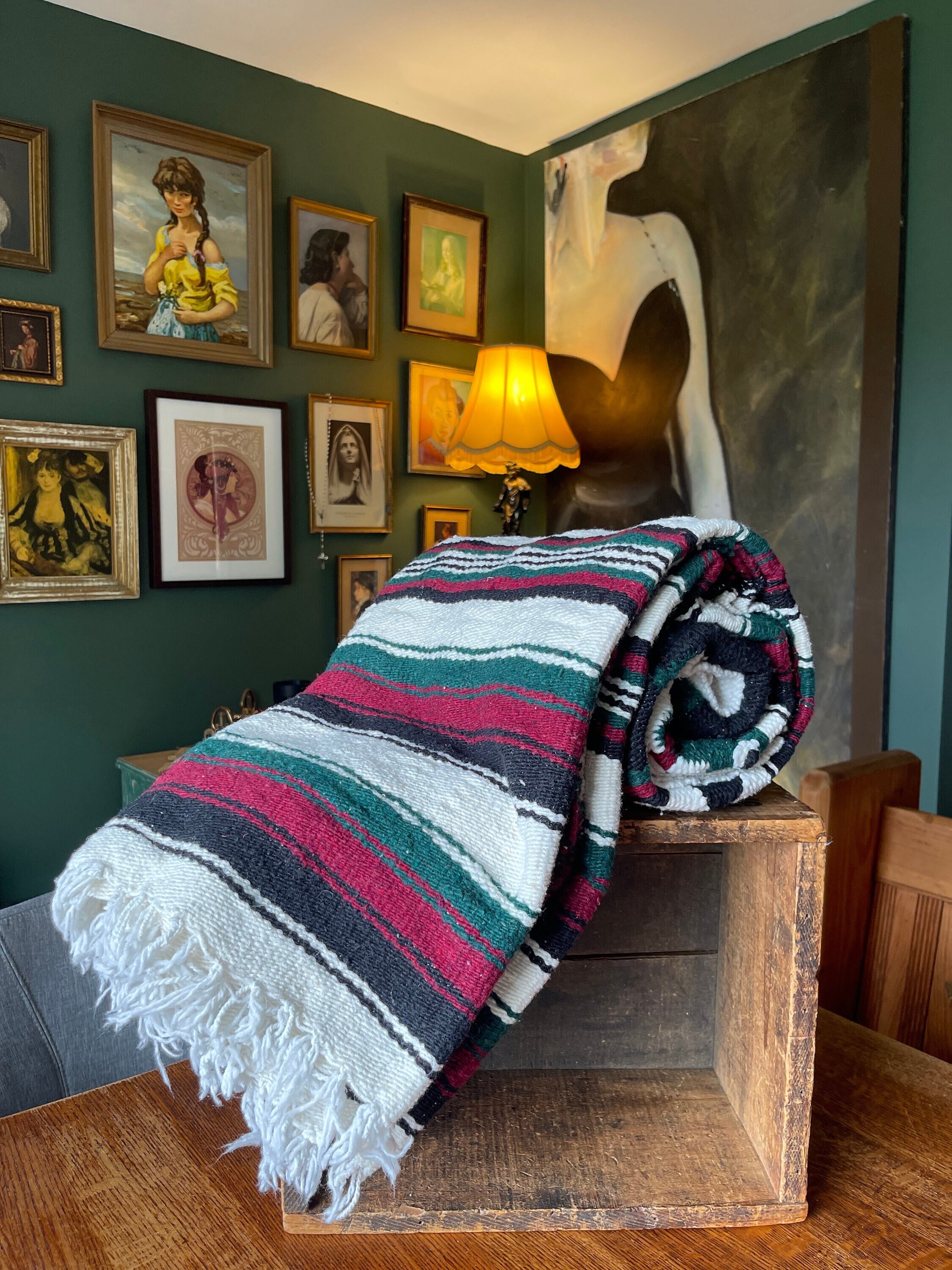 Mexican blanket spotlight hotsell