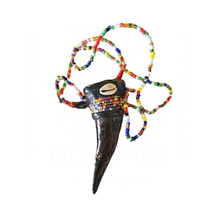 Peut inclure: Un collier composé d'un long pendentif sombre en forme de corne incurvée, orné d'un petit coquillage cauri blanc et d'une bande de perles de rocaille multicolores. La chaîne est formée d'un cordon continu de perles de verre aux couleurs vives.