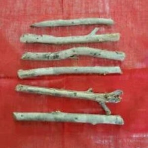6 Palo Para Mi Santería Palo Prenda