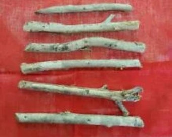 6 Palo Para Mi Santería Palo Prenda