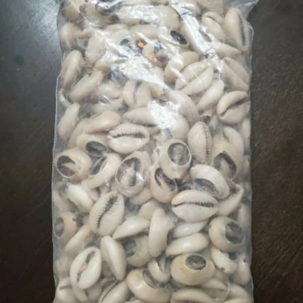 Dilogun Cowrie Schelpen Slakkenzak 1lb Religie Ifa Santeria Osha Orisha