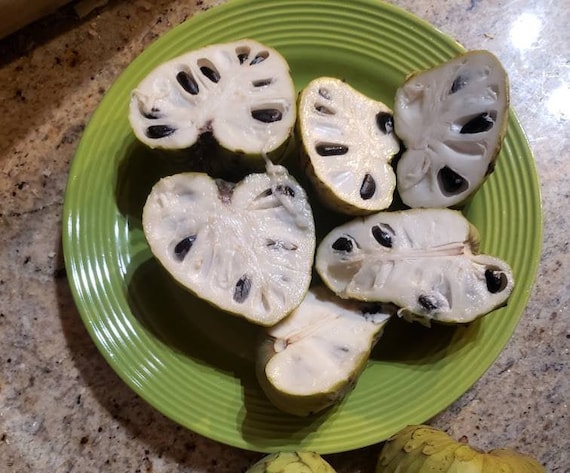 Nata Cherimoya Seeds, Honey Heart Cherimoya, Tropical Fruit Seeds, Exotic Fruit Seeds, Chirimoya Seeds, Fruit Seeds
