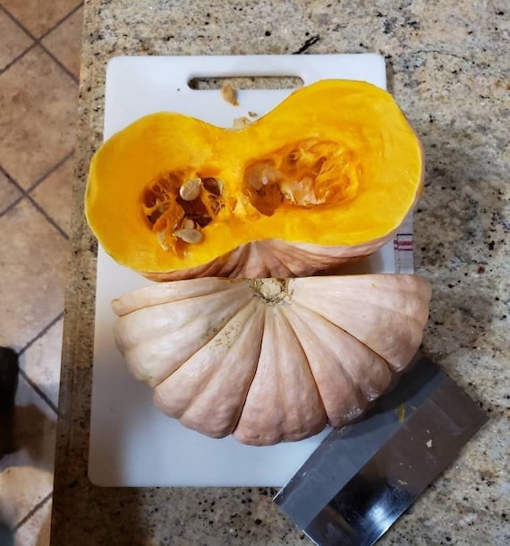 How To Grow Jarrahdale Pumpkins [Care Tips, Photos And