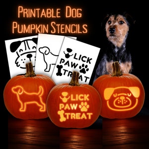 May include: Three orange pumpkins with dog-themed stencils carved into them. The stencils include a dog silhouette, a dog face, and the words "Lick Paw Treat" with a paw print and bone graphic.  A black and brown dog is sitting behind the pumpkins.