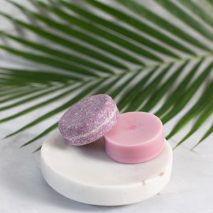 Duo Shampoo & Conditioner Bar Set 30 scent variation Cleanse Moisturize Detangle Reduce Frizz Softer Hair dry, oily, frizzy, curly, dandruff